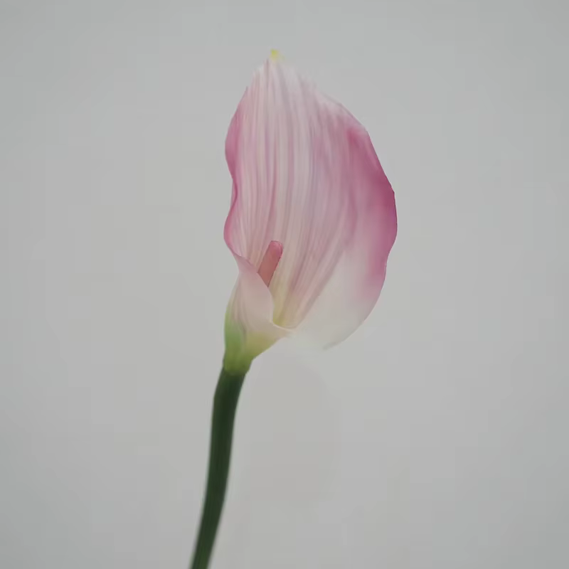 12 pièces Faux Latex Calla Lily fleurs artificielles Bouquet de mariage vraie touche Callas chambre maison décorative fête fleur accessoires