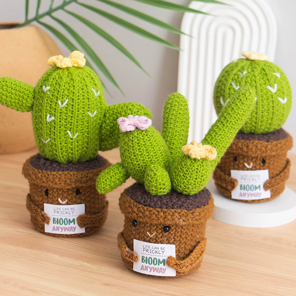 Pot de plantes en Crochet Cactus