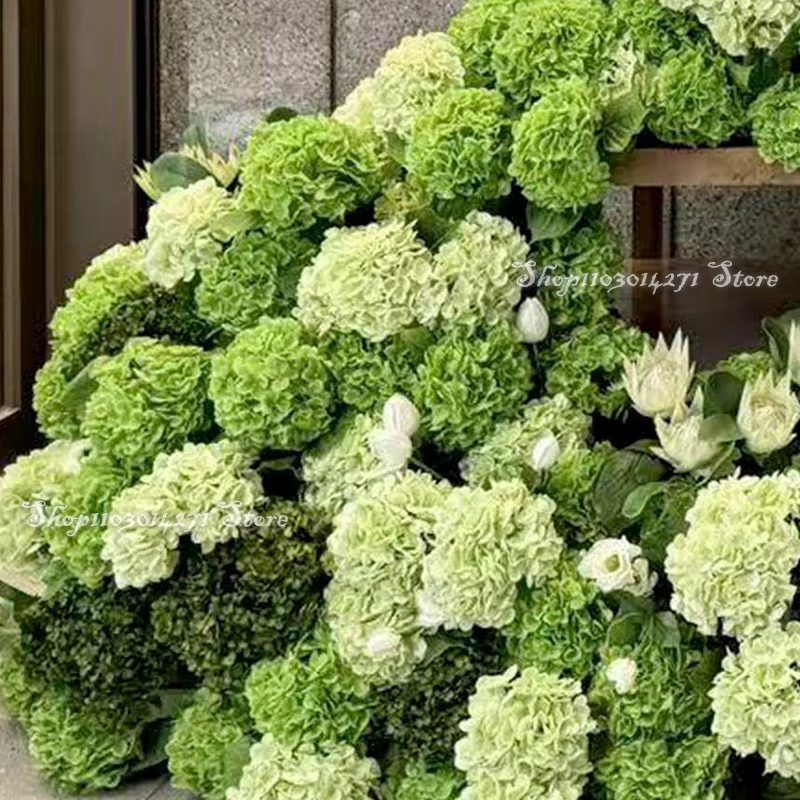 Hortensia vert mariage toile de fond arc fleur coureur KT conseil décor rangée florale fleurs boule Arrangement affichage événement fête accessoires