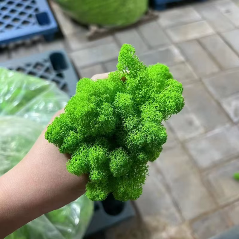 100/500/1000g pas cher HI-Q vert immortel mousse plantes d'herbe artificielle fausse fleur bricolage décor pour maison