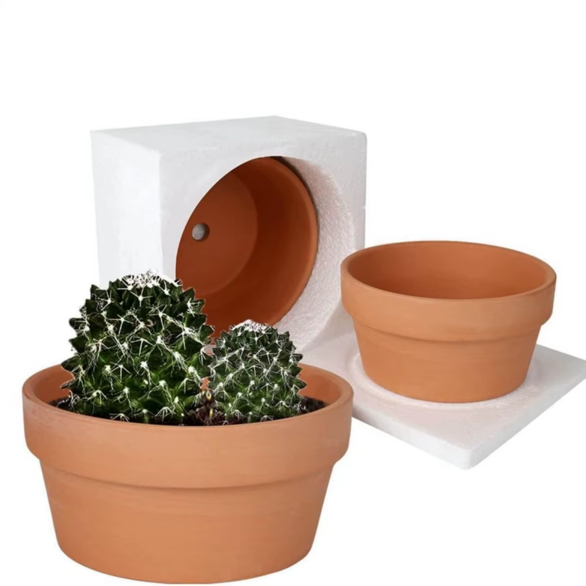 Pots peu profonds en terre cuite