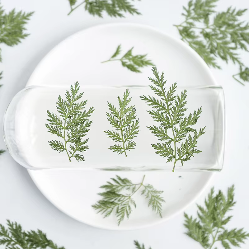 Feuilles naturelles séchées et pressées