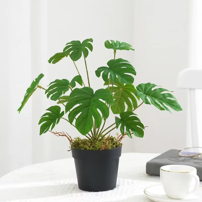 Plantes Vertes Artificielles
