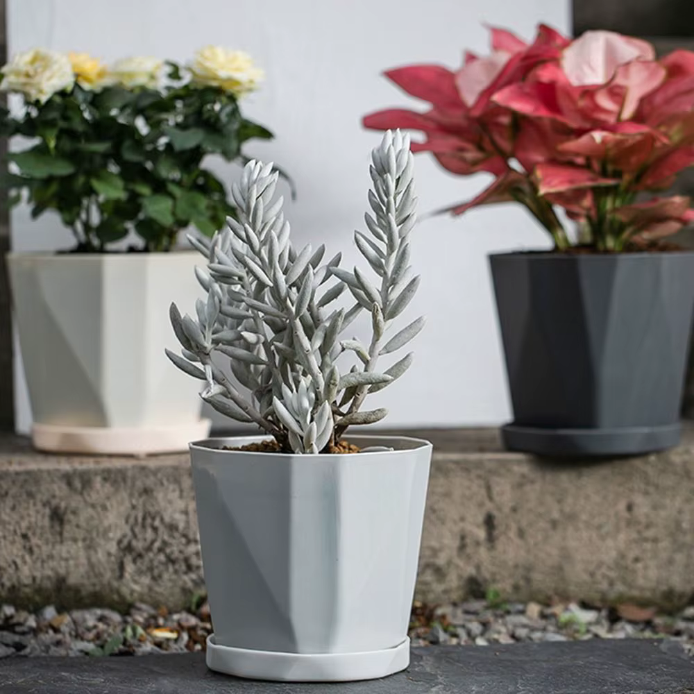 Pot de plante hydroponique avec poignée