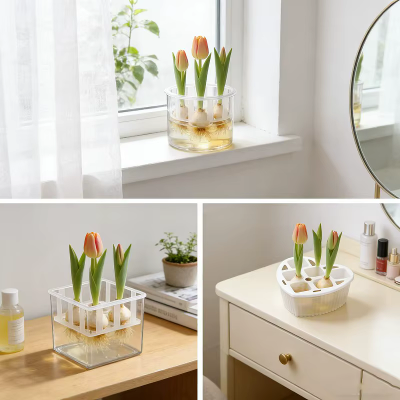 1/3 pots hydroponiques pour bulbes de tulipes