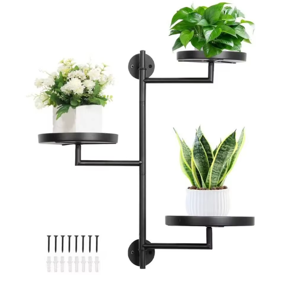 Support de plantes rotatif pour fenêtre