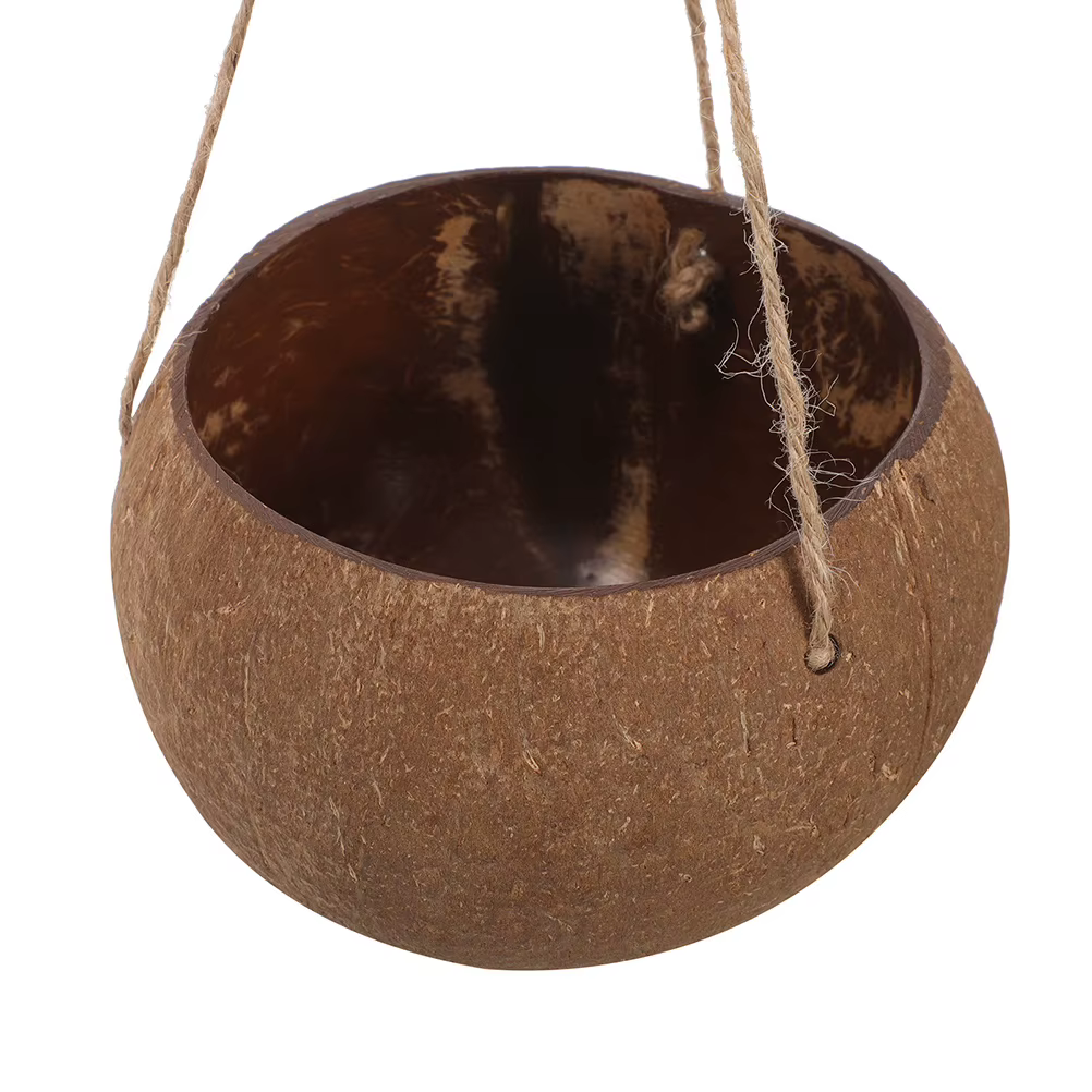 Jardinière suspendue en coquille de noix de coco