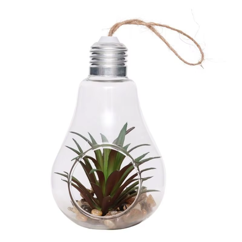 Jardinières suspendues en verre en forme d'ampoule