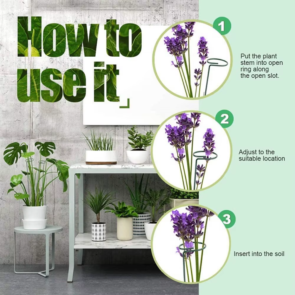Bâtons de Support pour plantes grimpantes en pot
