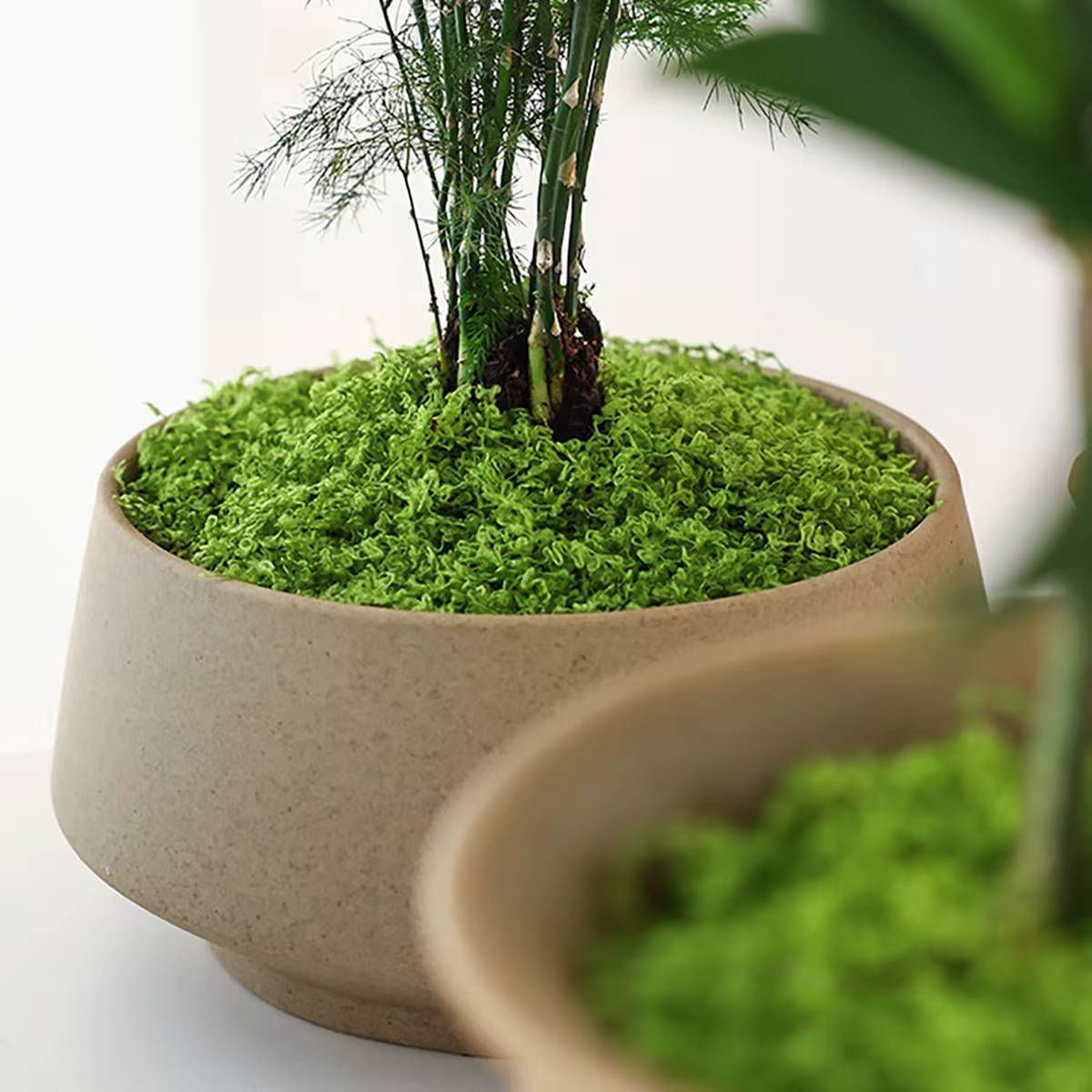 Plantes vertes artificielles en Polyester