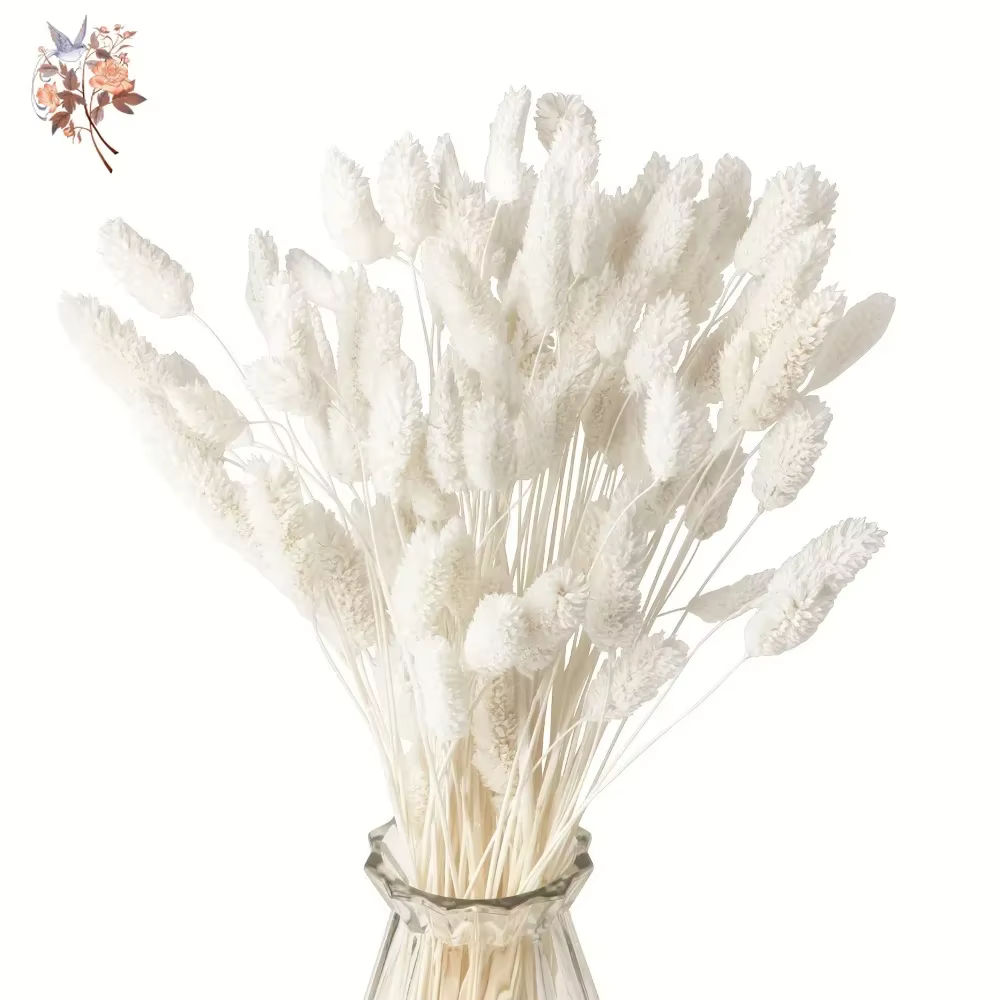 Bouquet de pierres précieuses de phaladditif séchées éternelles