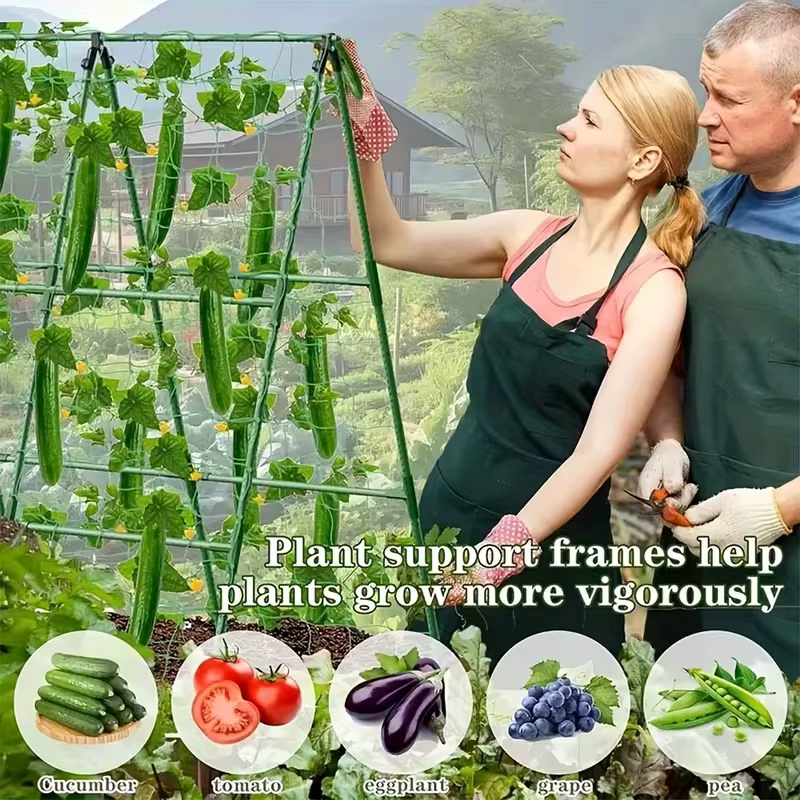 Nouveau treillis de support robuste pour plantes 2026 – 3 traverses horizontales et 6