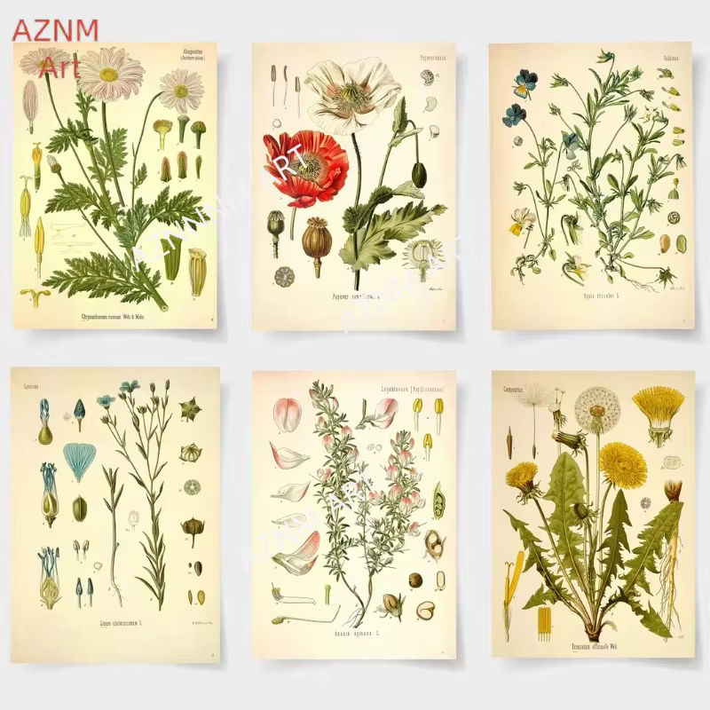 Affiches d'impression de jardin de fleurs botaniques vintage