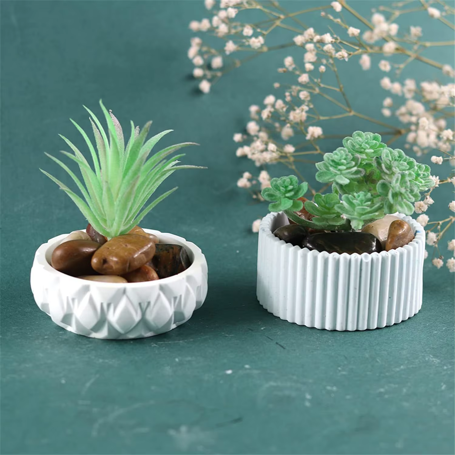 Pot de fleur succulente en Pot