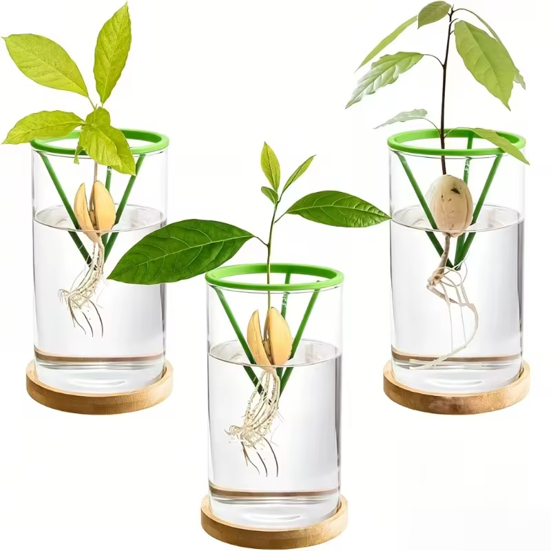 2 pots de support pour graines hydroponiques – Contenants coniques verts