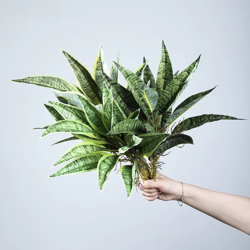 5 pièces de plantes artificielles en plastique Sansevieria