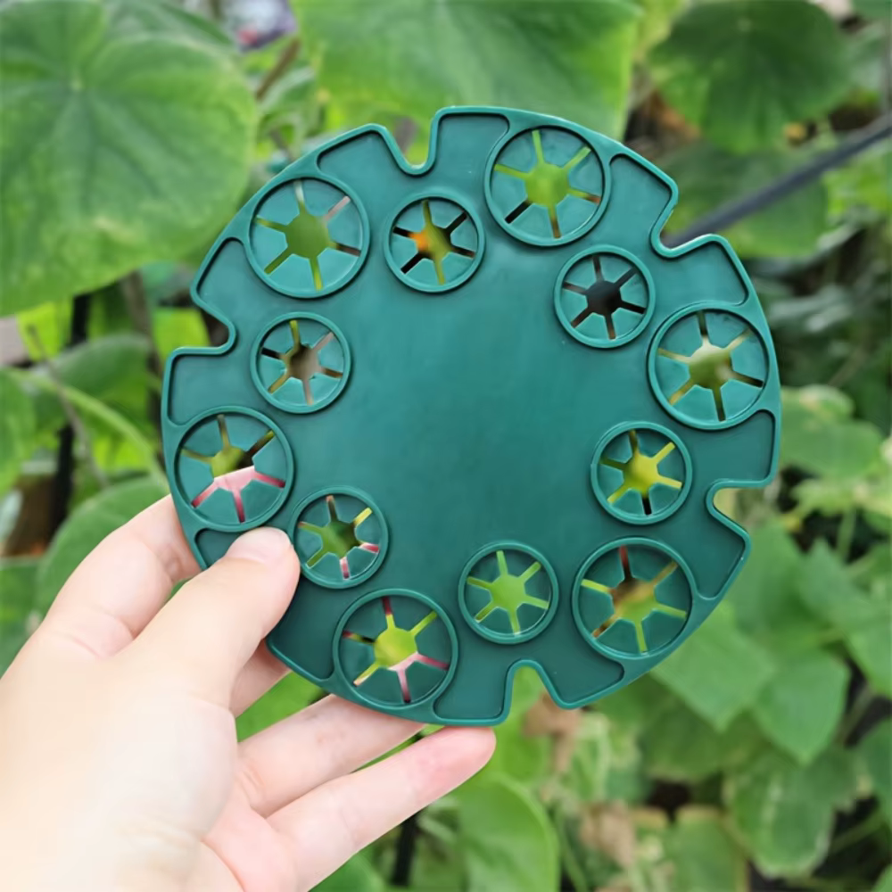 5 disques de fixation pour plantes grimpantes de jardin
