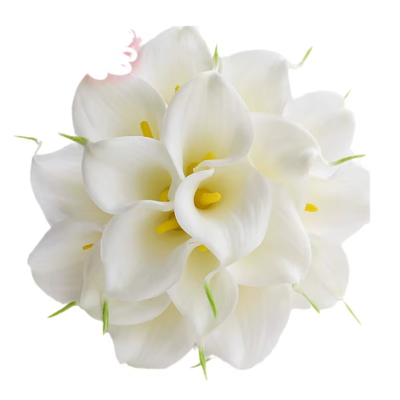 18 lys calla ronds pour bouquet de mariée
