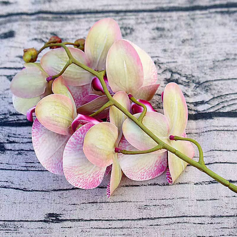 Phalaenopsis artificiel 3D petit orchidée papillon 6 têtes fausse fleur maison draperie mur décoration de mariage Festival bricolage couronne