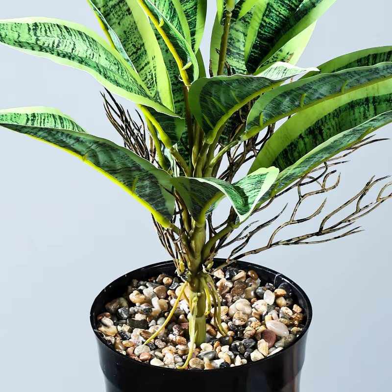 5 pièces de plantes artificielles en plastique Sansevieria