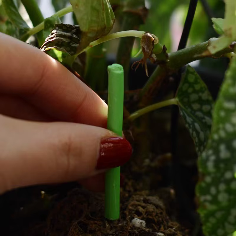 Barres nutritionnelles pour plantes