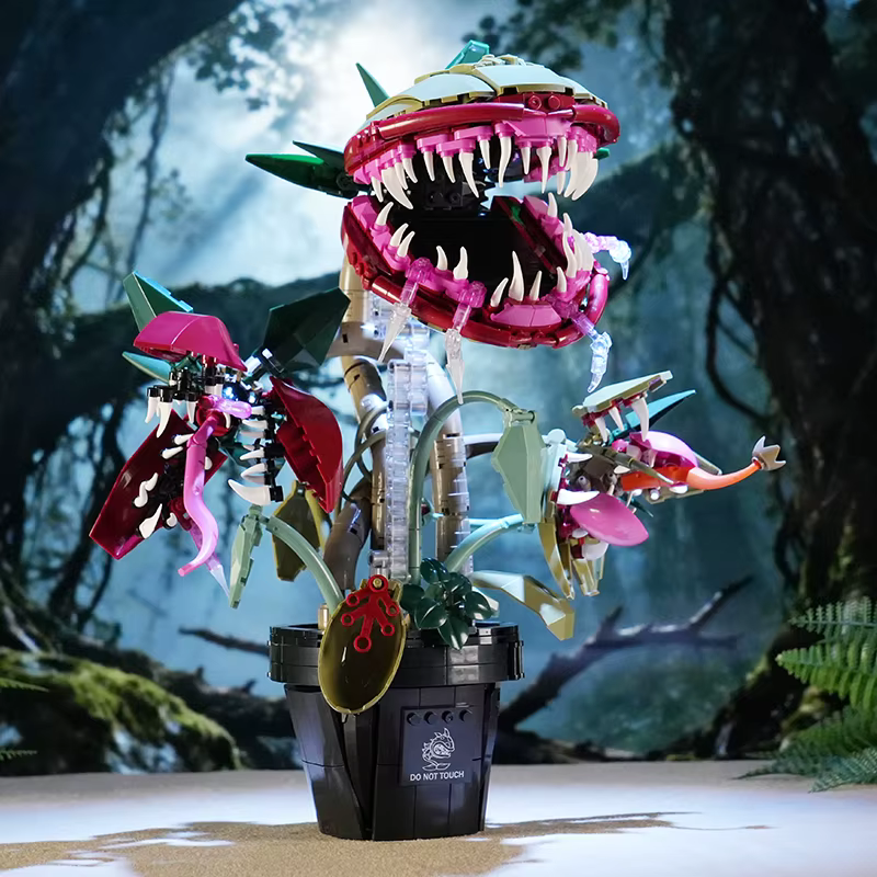 Plante carnivore créative en pot