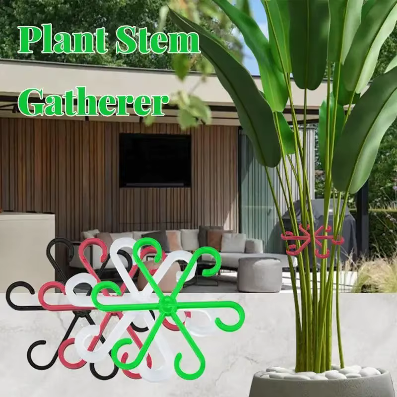 Clips de Support pour plantes grimpantes