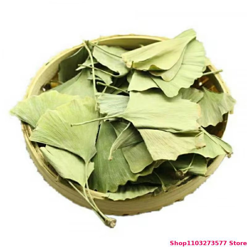 Feuilles de Ginkgo Biloba séchées de qualité supérieure pour la beauté