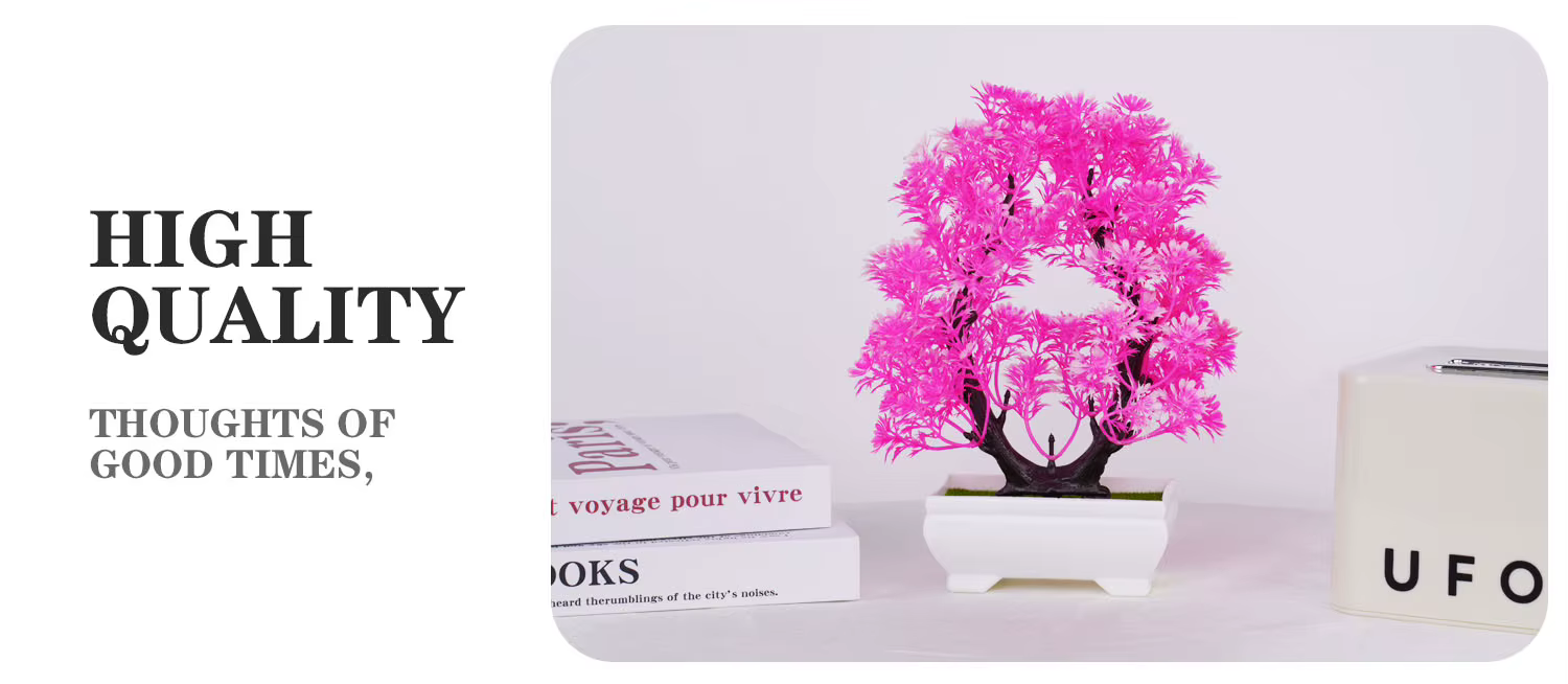 Bonsaï Élen pot, beau petit arbre