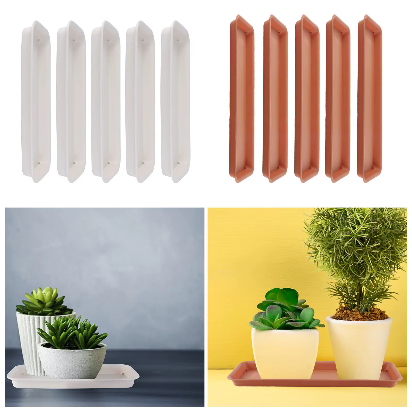 Plateaux à Plantes Rectangulaires
