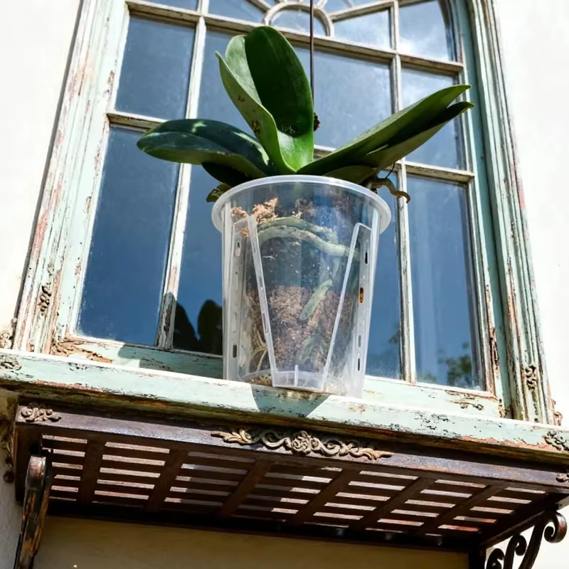 Pots à orchidées en plastique transparent avec trous de drainage pour la plantation d'orchidées papillon