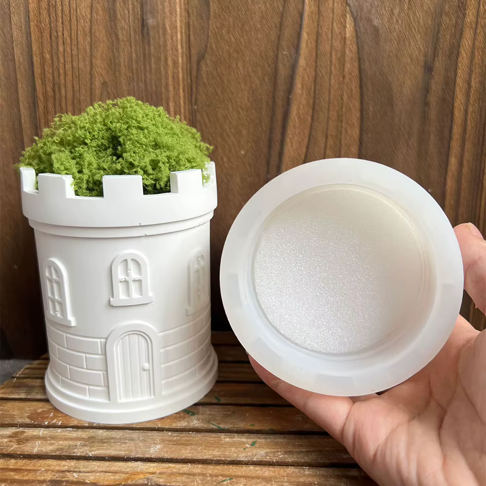 Maison de château 3D, plante succulente