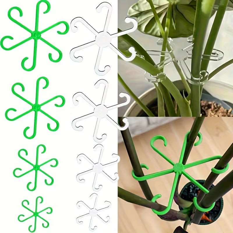 Clips de Support pour plantes grimpantes