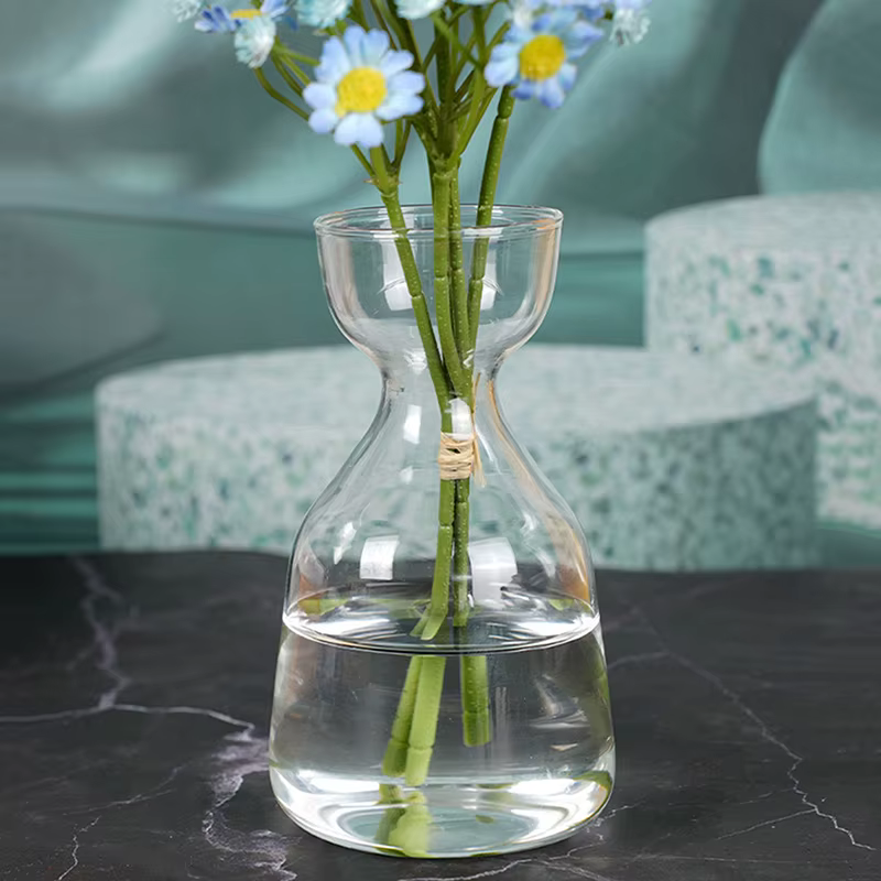 Vase de démarrage de graines d'avocat