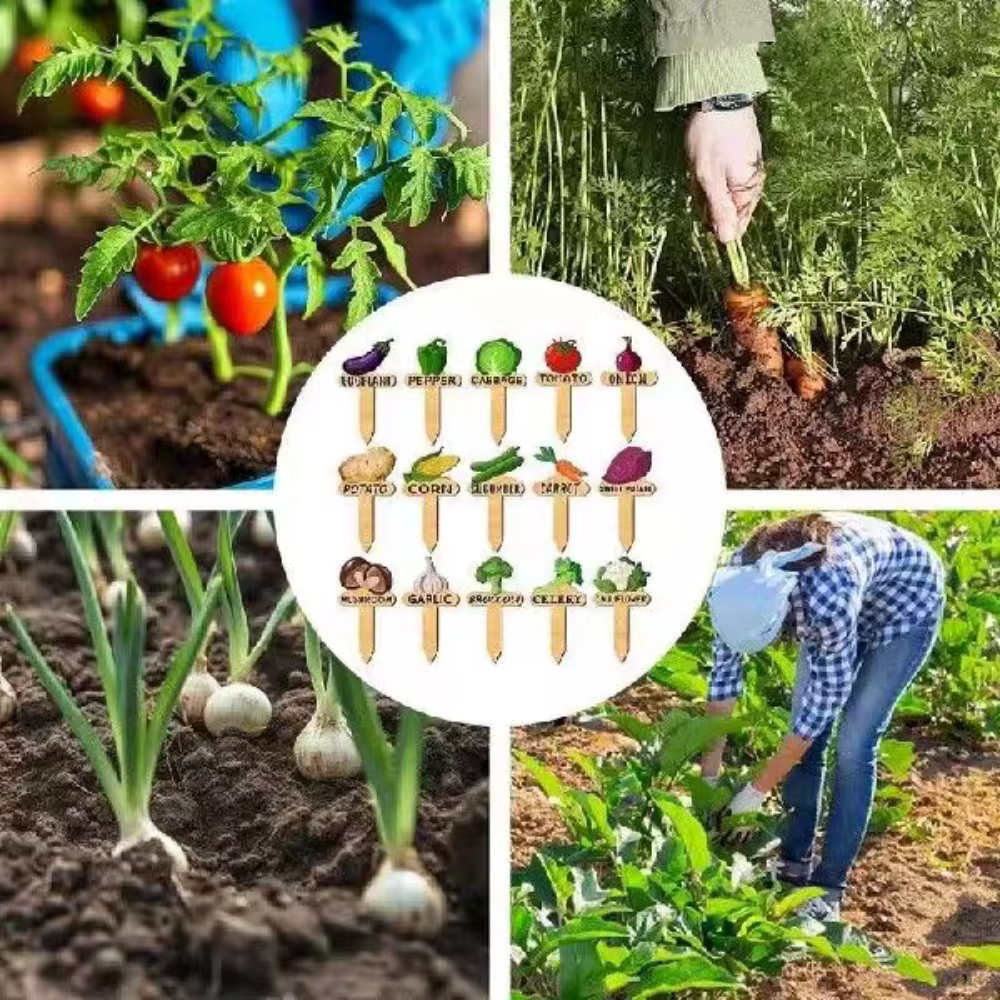 Lot de 15 étiquettes en bois pour plantes - Marqueurs de jardin faciles à coller pour le jardinage extérieur et la