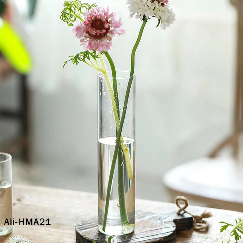 【H】Vase en verre pour plantes hydroponiques