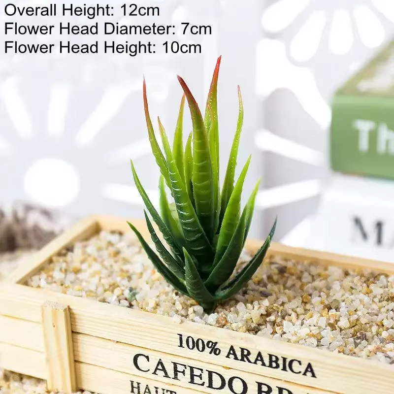 Plantes succulentes artificielles vertes bonsaï
