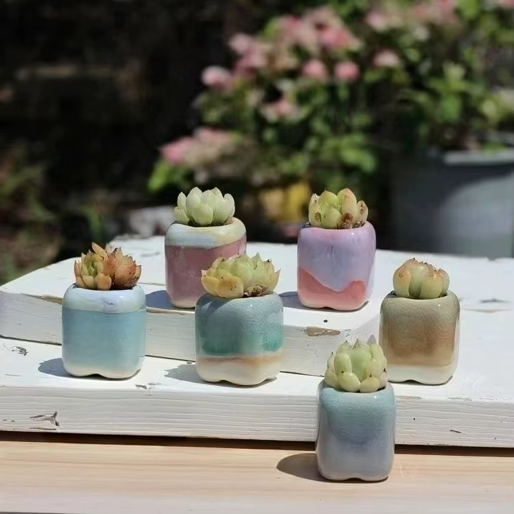 6 pièces Mini pot de fleurs succulentes petite plante succulente céramique Pots