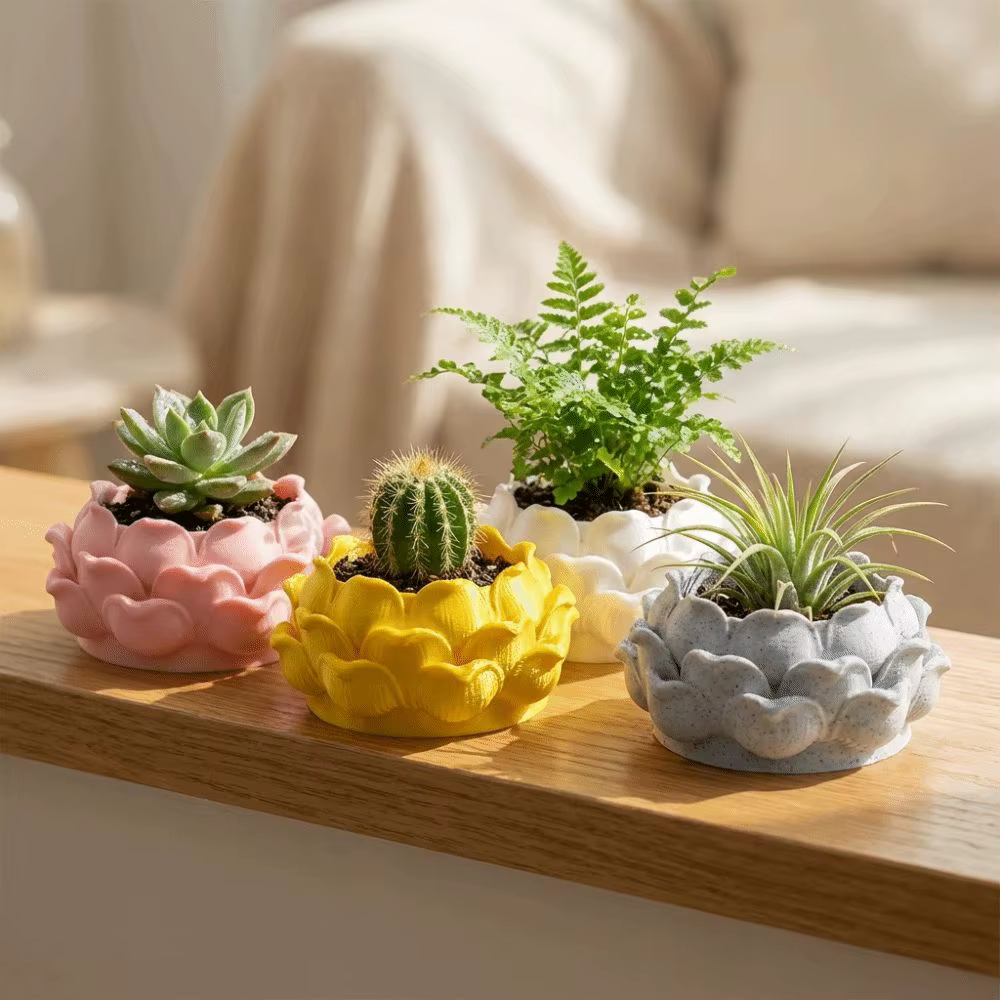 Pot de plante succulente en forme de lotus