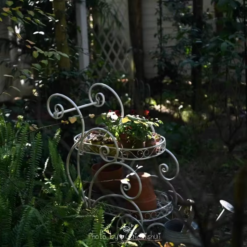 Chariot de jardin Portable en fer