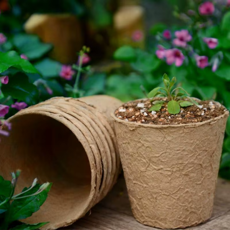 Pots de plantes biodégradables en pulpe écologique