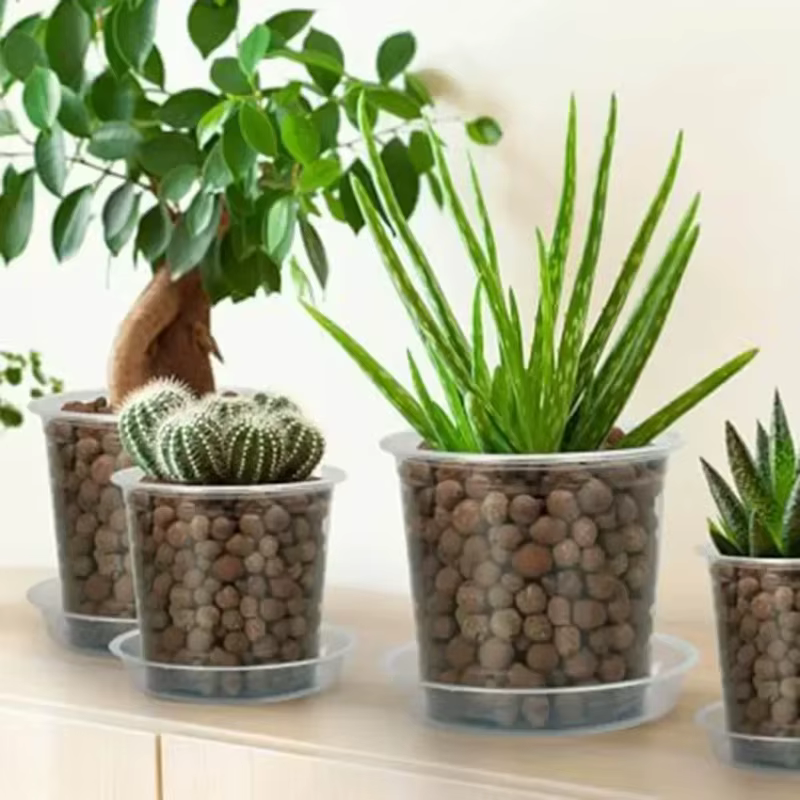 Nouveauté : Pot de pépinière transparent pour orchidées et herbes avec trou de drainage – Pot de fleurs