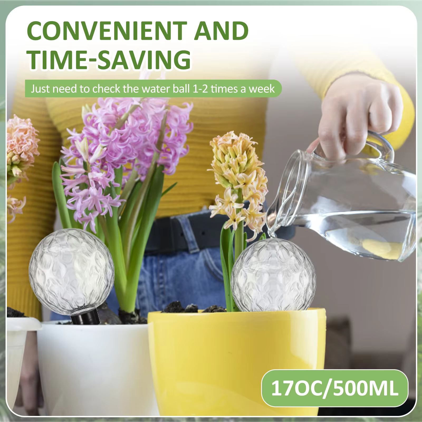 4 globes d'arrosage automatiques 500 ml