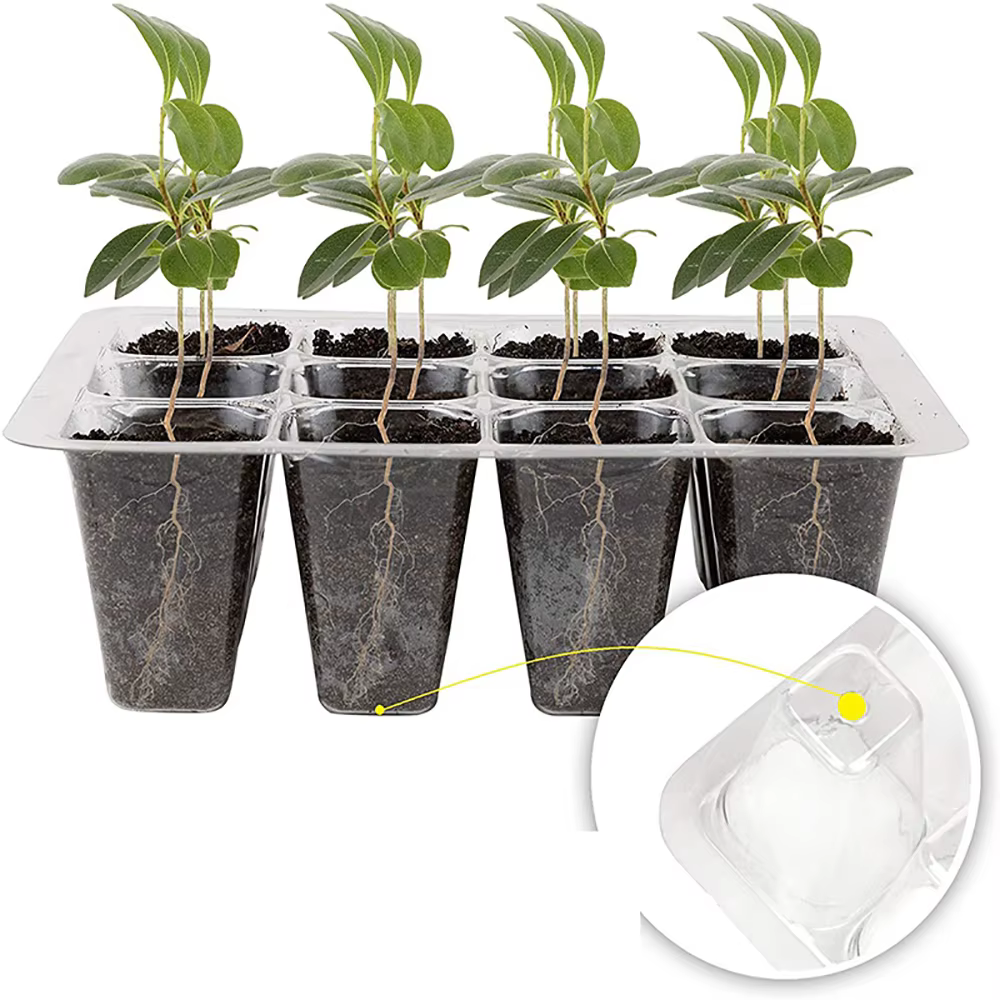 Pots de plantes en plastique à trous