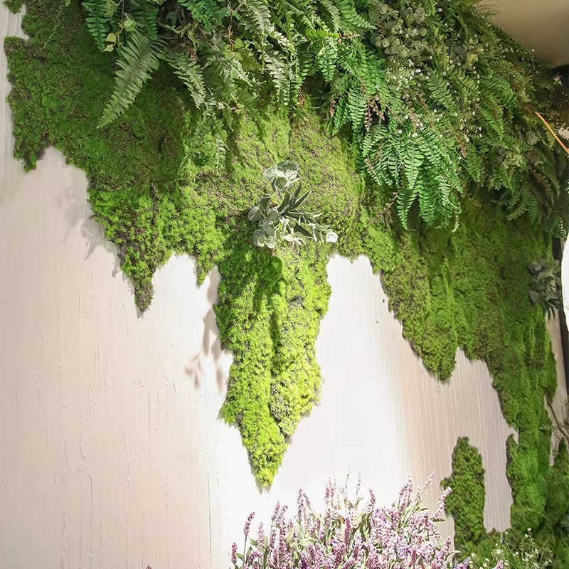 Mousse de plantes artificielles pour la décoration murale de la maison