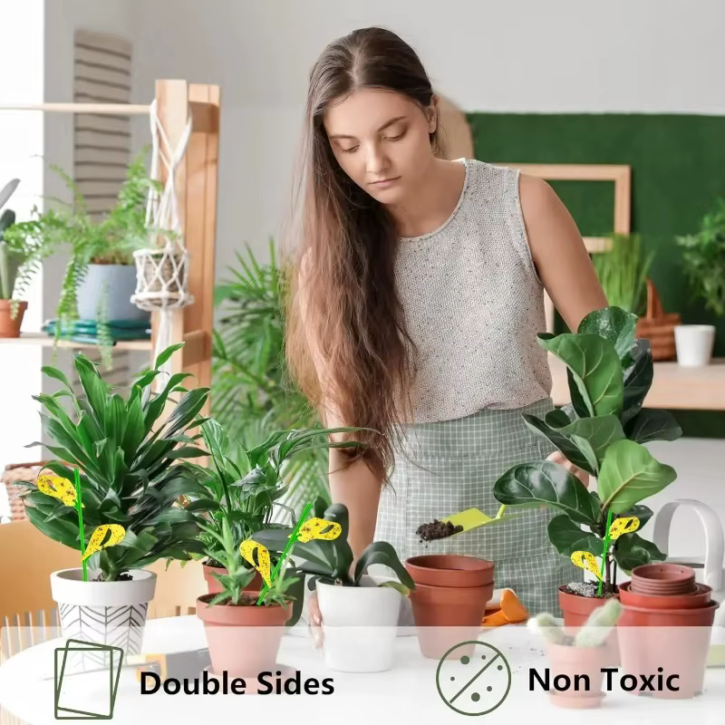 Pièges collants pour insectes 15/60x