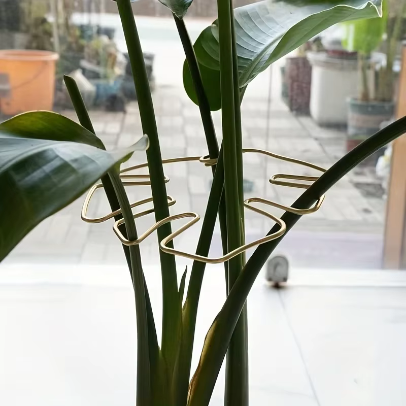 Grand support pour plantes suspendues