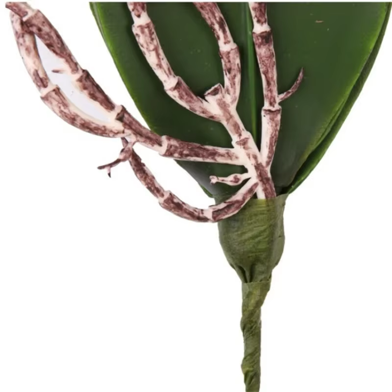 Fleur de simulation du cuir chevelu d'orchidée