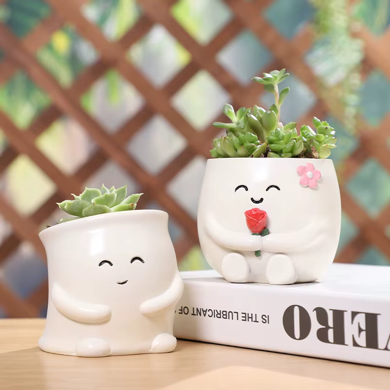 Mini Pot de plantes en résine avec visage Smiley