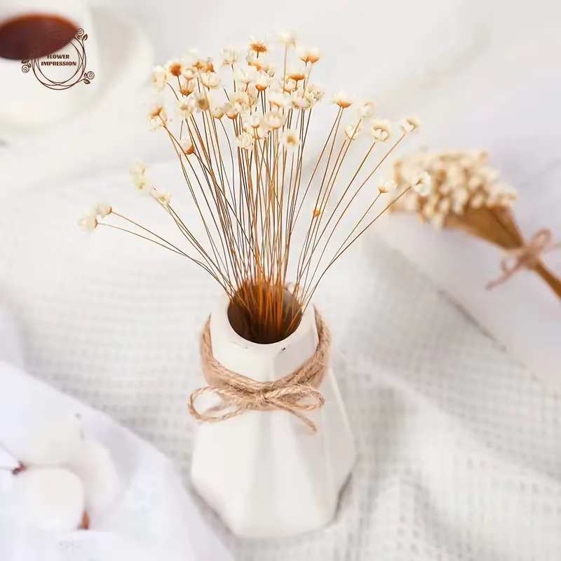 50pcs petite étoile marguerite fleurs séchées décor de mariage